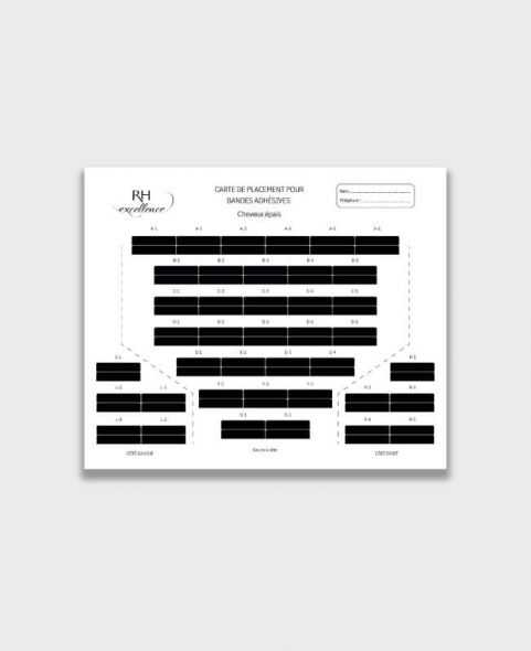 Carte de placement pour extensions de cheveux à bandes - RH Excellence