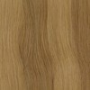 N°10G Natural Light Blonde