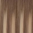 Milan : Base 7 balayage doré